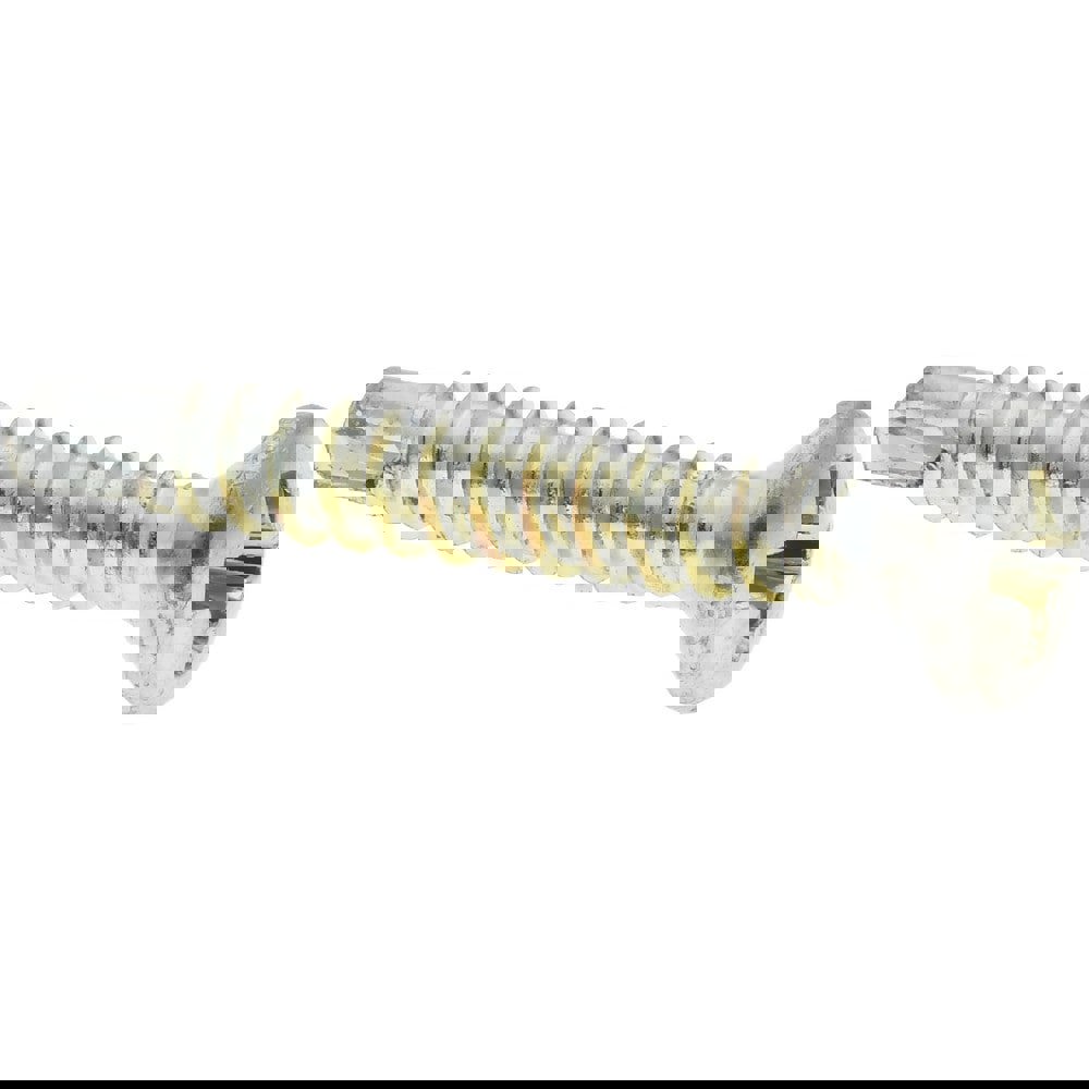 #6, Oval Head, Phillips Drive, 1