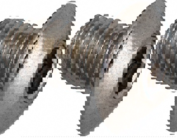 Button Socket Cap Screw: #6-32, 1/4