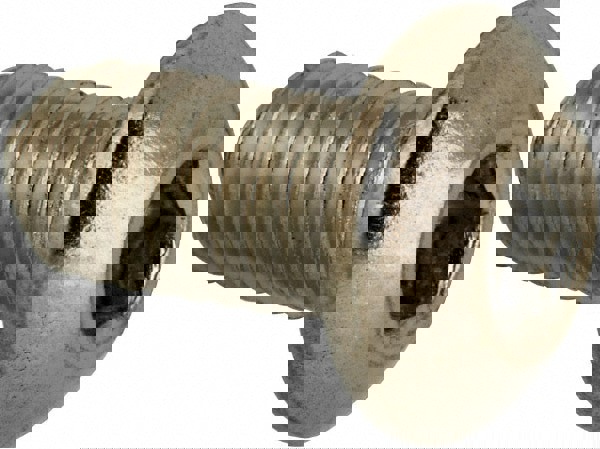 Button Socket Cap Screw: #10-32, 3/8