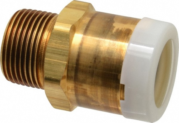 Push-To-Connect Tube to Male & Tube to Male NPT Tube Fitting: Male Connector, 1