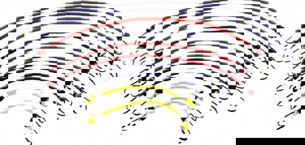 Bungee Cord Tie Down: S Hook, Non-Load Rated