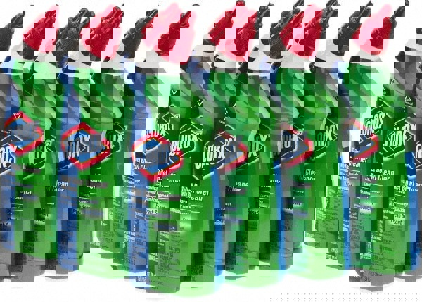 24 oz Bottle Gel Toilet Bowl Cleaner