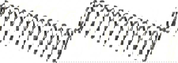 Compr Music Wire Spring