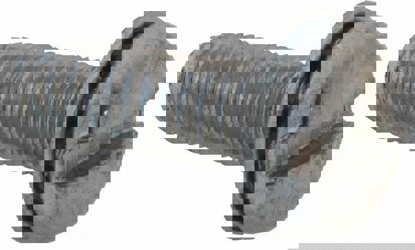 Machine Screw: #8-32 x 1/2