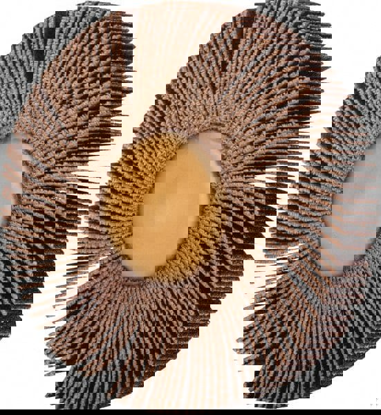 Mounted Flap Wheel: 3