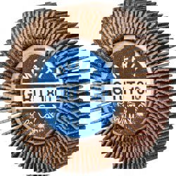 Mounted Flap Wheel: 1/2