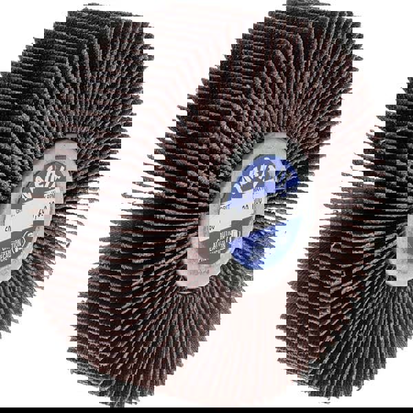 Mounted Flap Wheel: 1