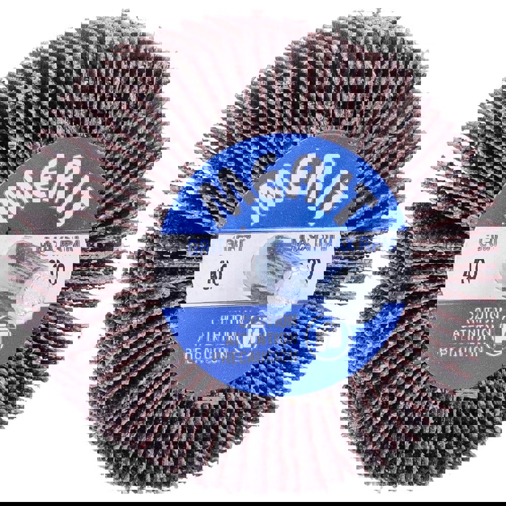 Mounted Flap Wheel: 2