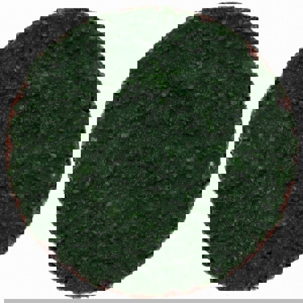 Quick-Change Disc: Power-Lock Type 2, 1