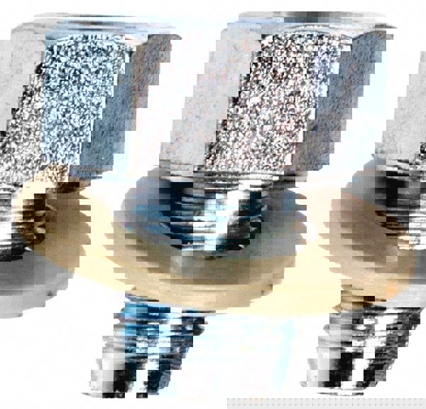 Standard Oil Drain Plug with Gasket