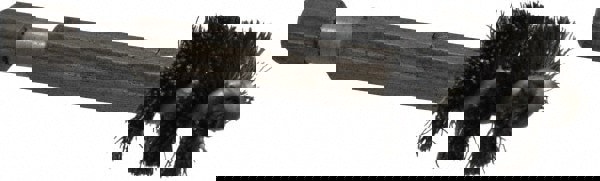 1/2 Inch Inside Diameter, 5/8 Inch Actual Brush Diameter, Carbon Steel, Power Fitting and Cleaning Brush