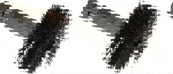 3/4 Inch Inside Diameter, 7/8 Inch Actual Brush Diameter, Carbon Steel, Power Fitting and Cleaning Brush