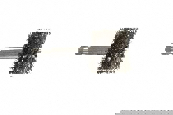 1 Inch Inside Diameter, 1-1/8 Inch Actual Brush Diameter, Stainless Steel, Power Fitting and Cleaning Brush