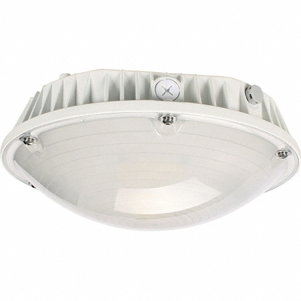 40 Watt LED Entry Light