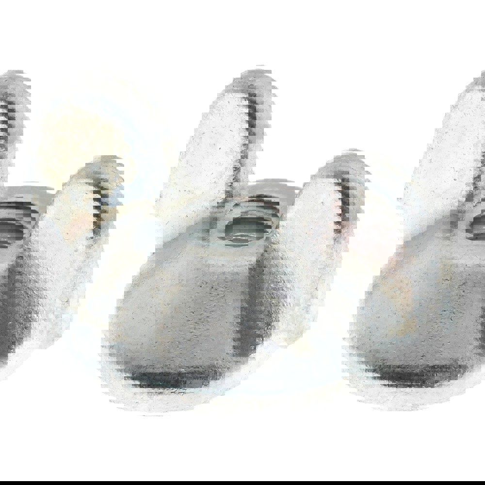 1/4-20 UNC, Zinc Plated, Steel Standard Wing Nut