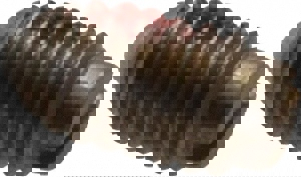 Threaded Ball Plunger: 4-48, 0.062