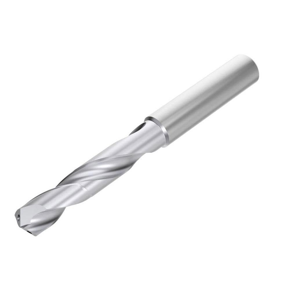Screw Machine Length Drill Bit: 0.219