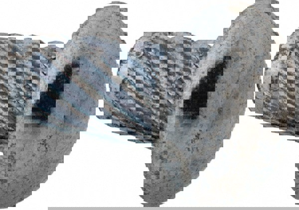 Sheet Metal Screw: #10, Round Head