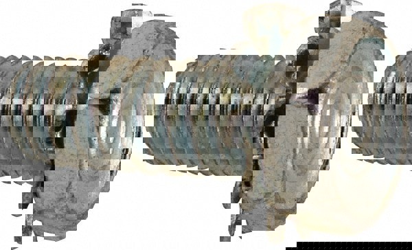 Machine Screw: #10-24 x 1/2