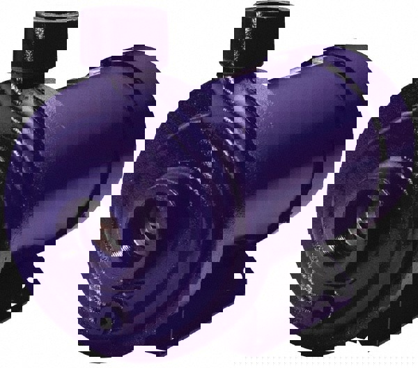 AC Straight Pump: 115/230V, 15.2/7.6A, 1 hp, 1 Phase, Cast Iron Housing, 316L Stainless Steel Impeller