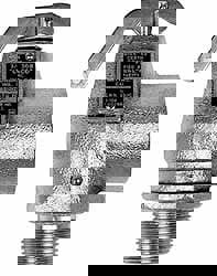 ASME Safety Relief Valve: 3/4