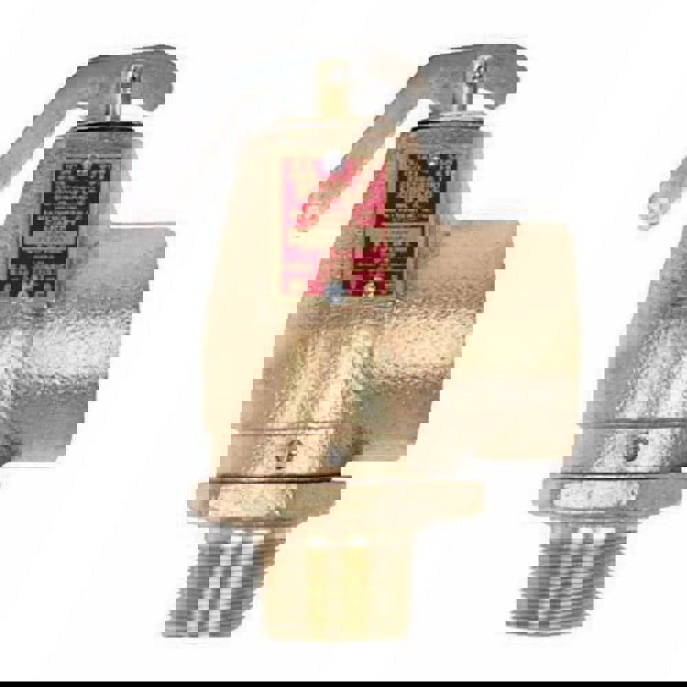 ASME Safety Relief Valve: 3/4