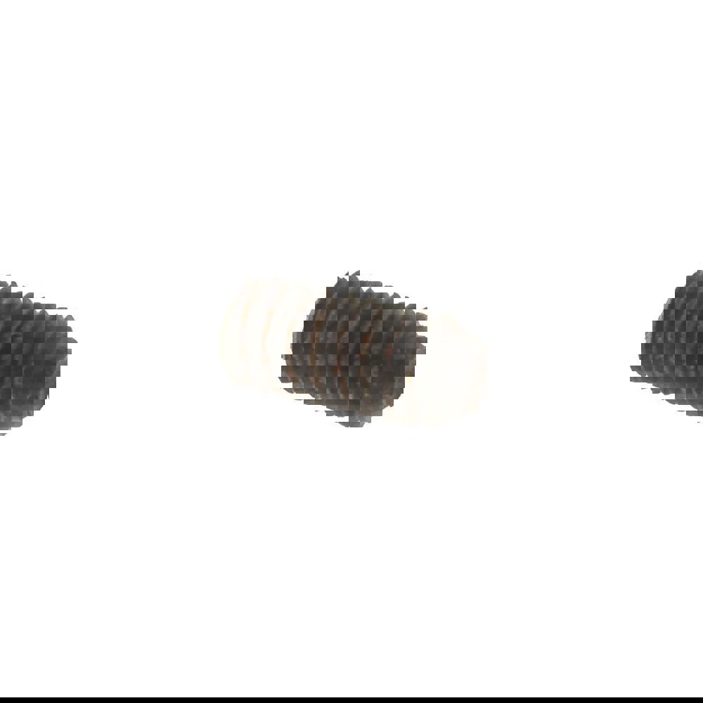 Cup Point Sss Alloy Steel