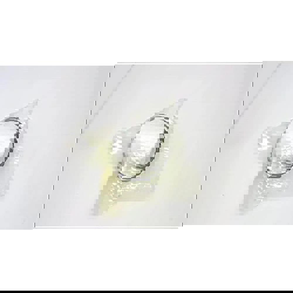 Filter Element Kit: 5 &micron;, Use with Hi-Capacity Inline Filter