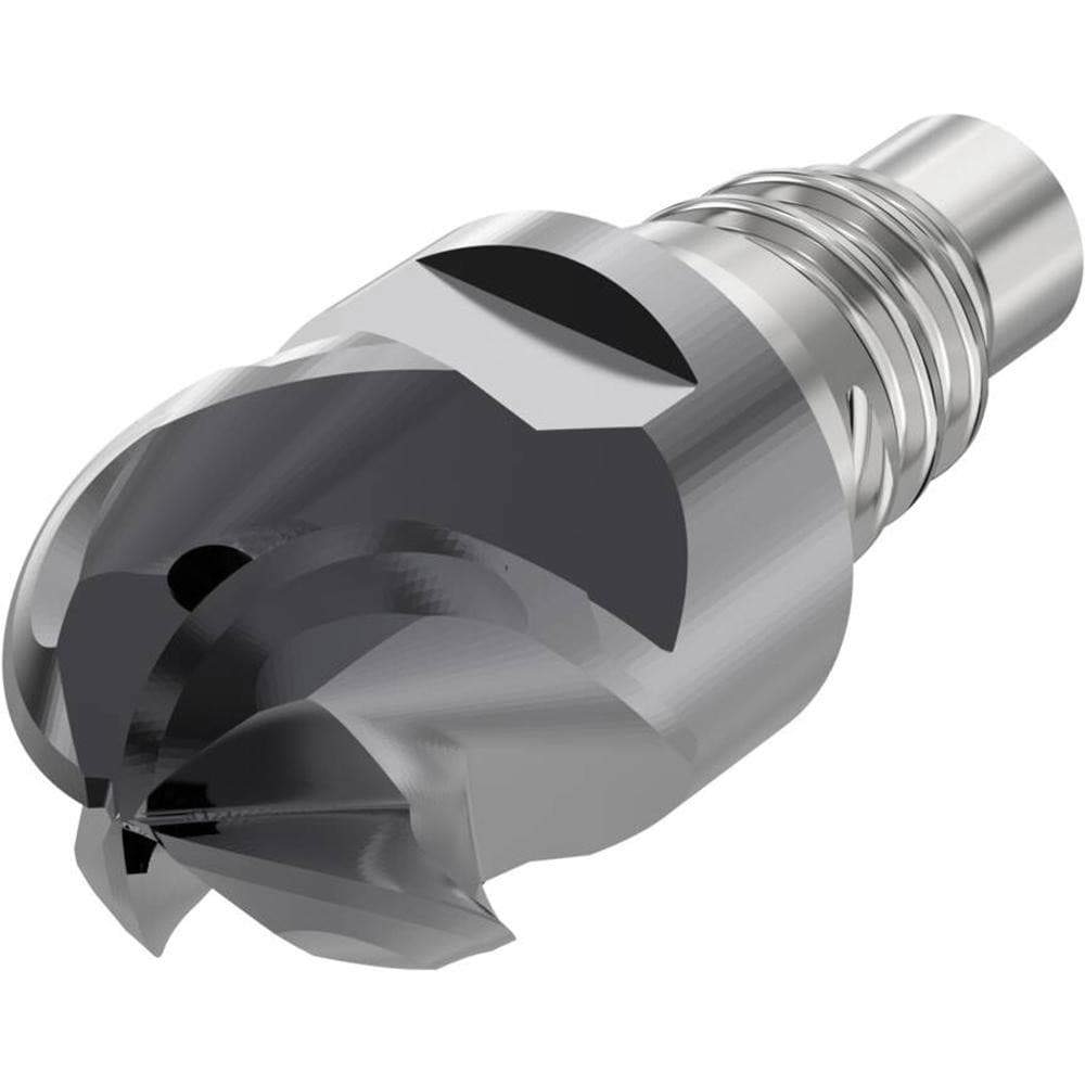 Ball End Mill Heads; Nose Radius (Decimal Inch): 0.2362 ; Undercutting: No