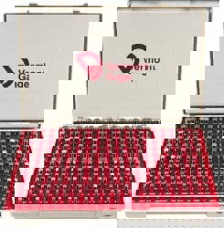 Class ZZ Plug Gage Set: 0.2515 to 0.5005