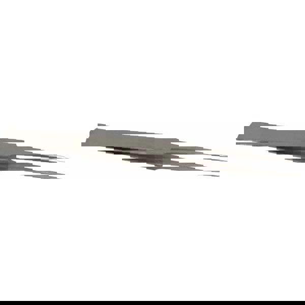 Precision Tweezer: GG-SA, Stainless Steel, General Utility, Long & Strong Point & Wide Shank Tip, 5-1/8