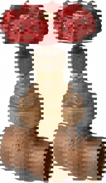 Gate Valve: Non-Rising Stem, 3/4