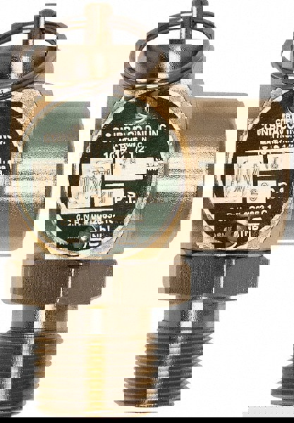 ASME Safety Relief Valve: 1/2