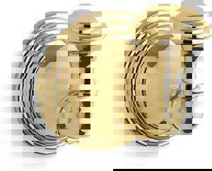 1 Robe Hook in Vibrant Polished Brass