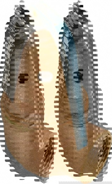 ASME Section IV Safety Relief Valve: 3/4