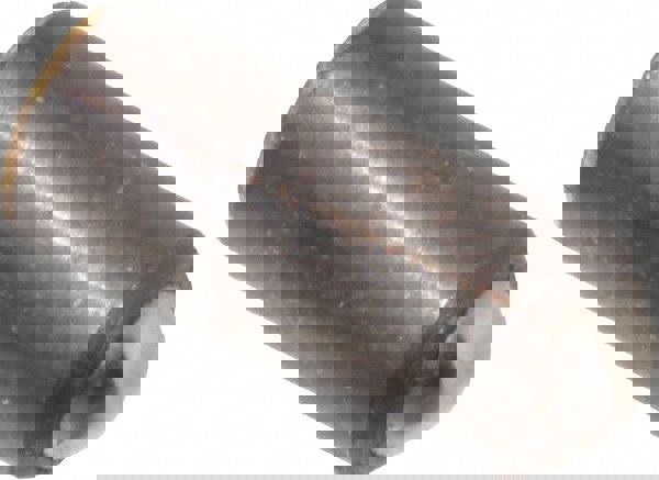 Steel Press Fit Ball Plunger: 0.125