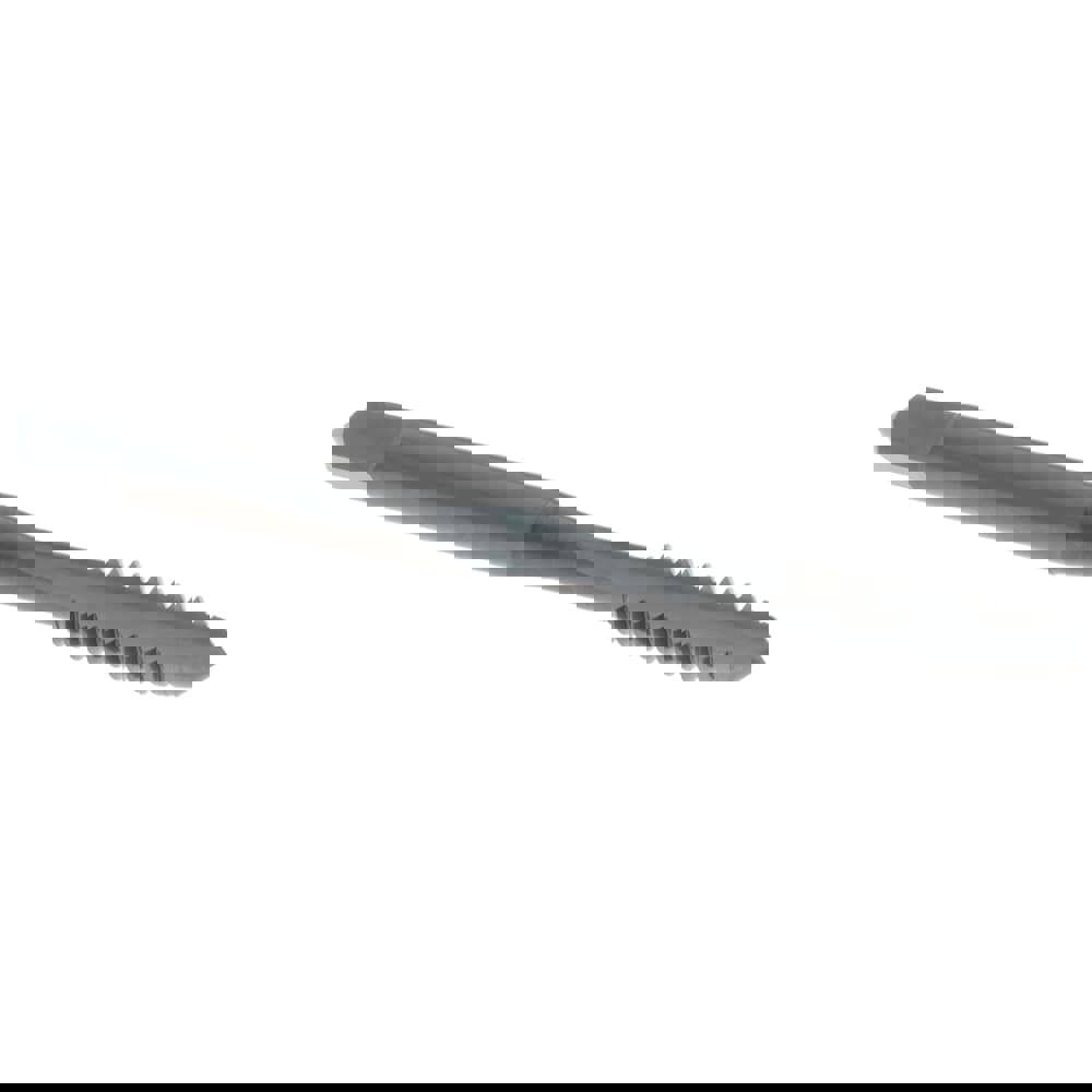 Straight Flute Tap: #10-24 UNC, 2 Flute, Plug Chamfer, 2B & 3B Class of Fit, High-Speed Steel, Oxide Finish