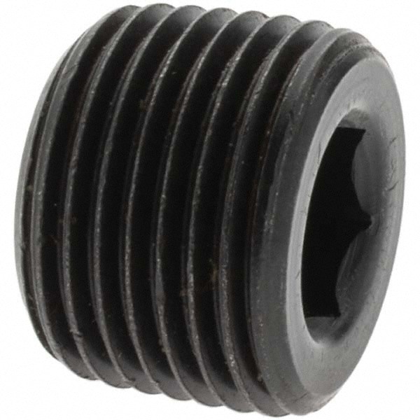 Industrial Pipe Socket Plug: MNPT