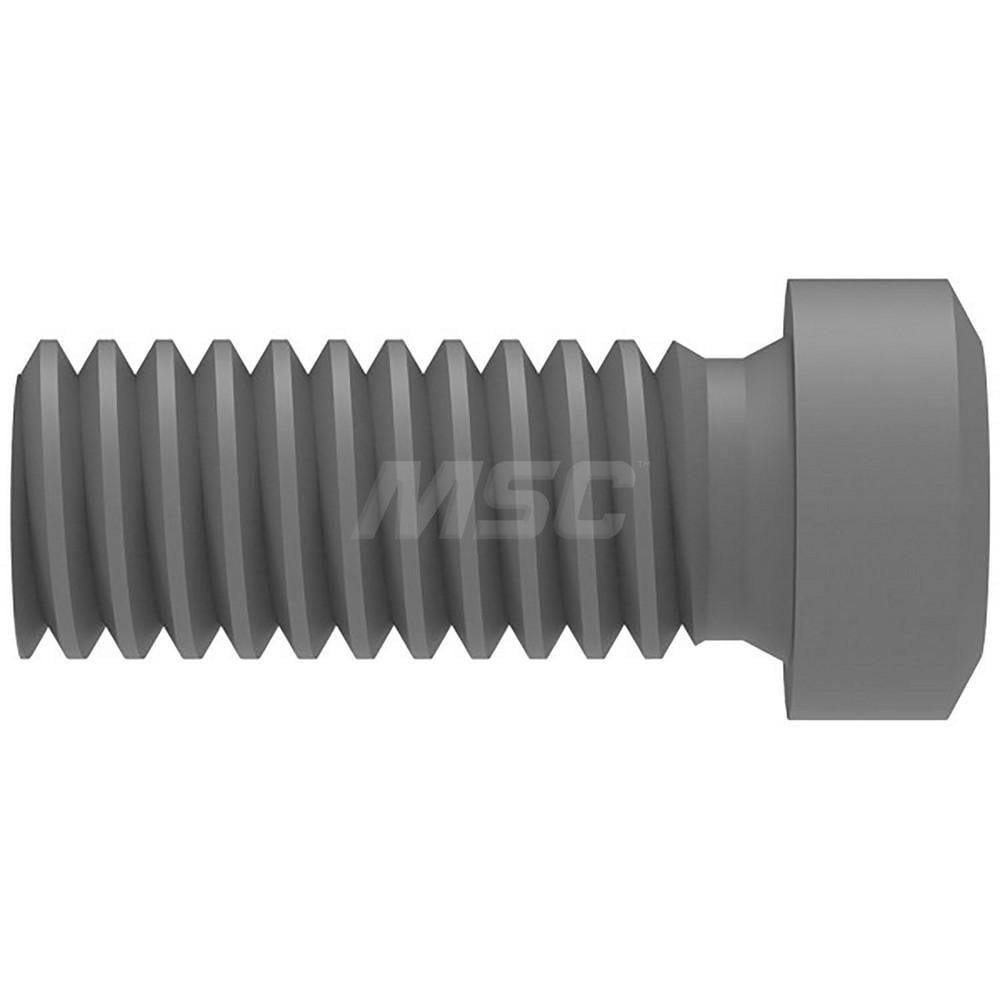 Lock Screw for Indexables: IP10 Torx Plus, M4.5 Thread