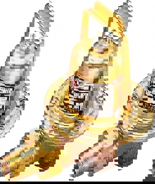 Reducing Valve Relief Valve: 1/2