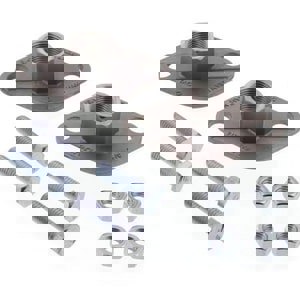 LF 3/4 NPT SS FLG SET