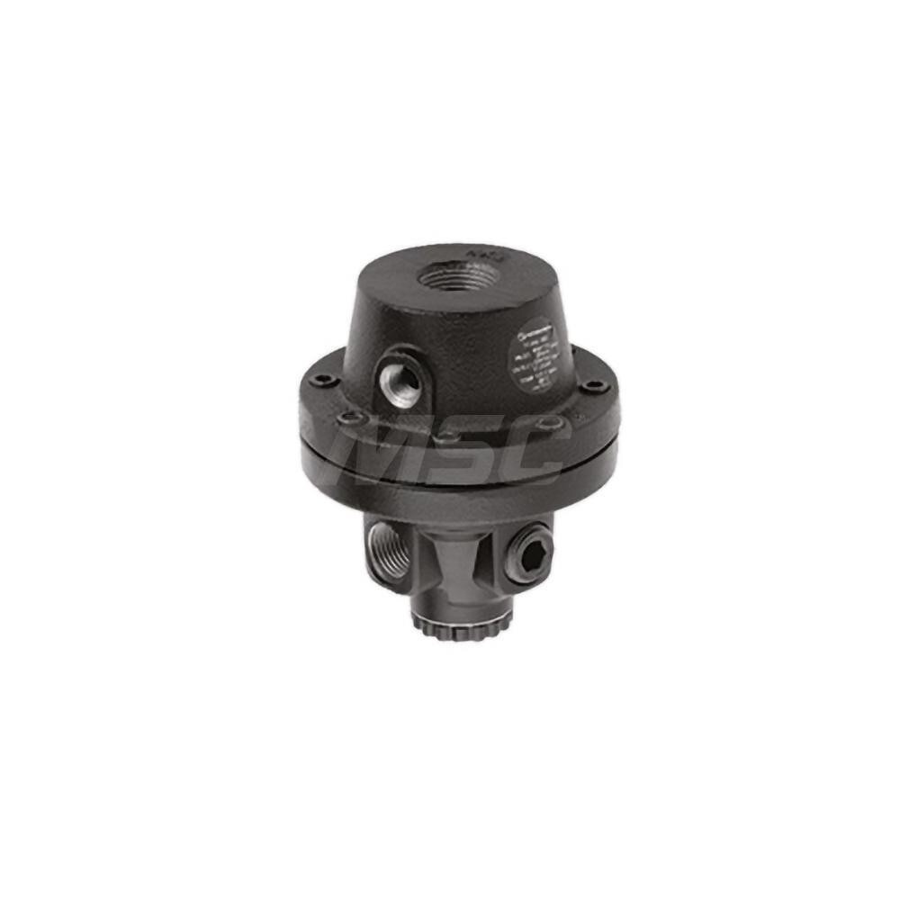 Compressed Air Regulator: 1/2