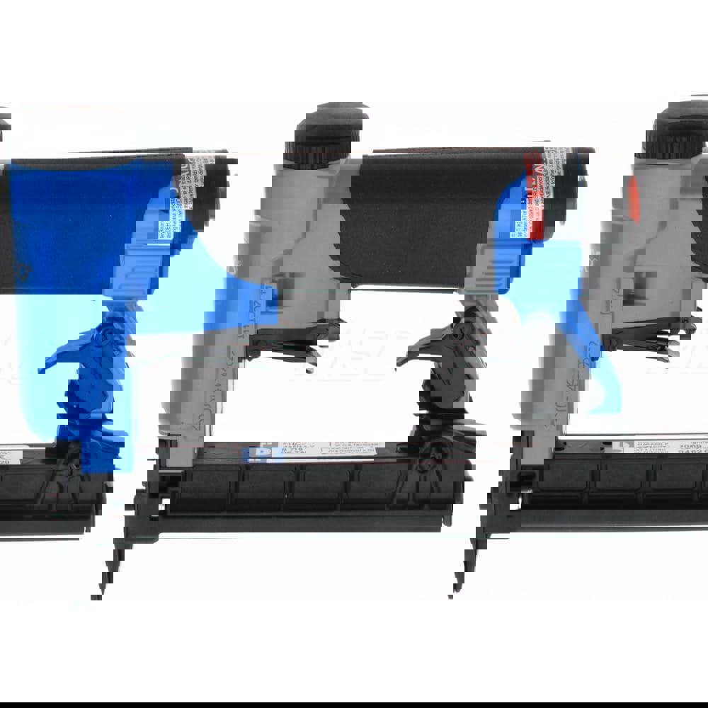 Nails/Staples Spec Dr Exotic