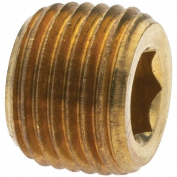 Industrial Pipe Hollow Hex Plug: 1/8