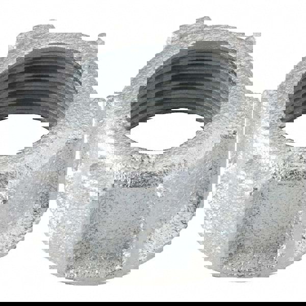 Conduit Bushing: For Rigid & Intermediate (IMC), Malleable Iron, 2