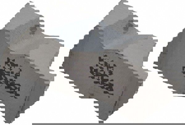 Grooving Insert: NG3062 K313, Solid Carbide