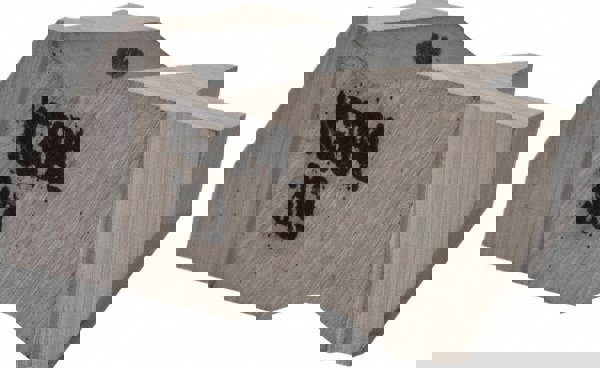 Grooving Insert: NG3094 K313, Solid Carbide