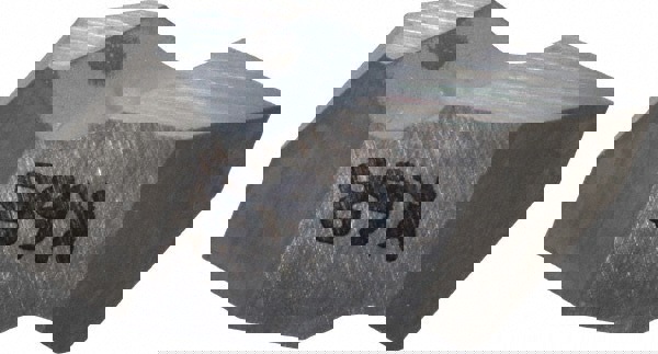 Threading Insert: NT2L K68, Carbide