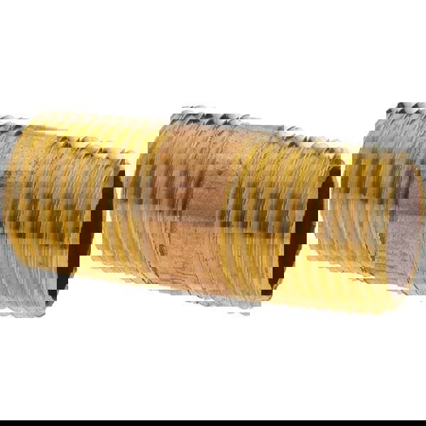 Brass Pipe Nipple: Threaded on Both Ends, 2