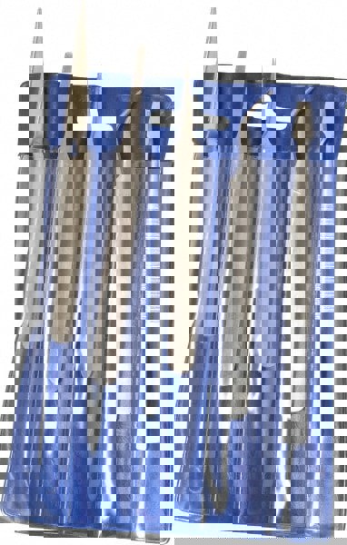 Stainless Steel Tweezer Set